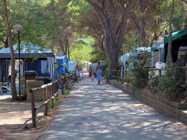Emplacement pour autocaravane sur herbe et sur sol en terre avec électricité
