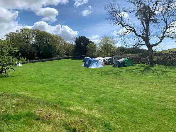 Staplaats voor een tent op gras zonder elektriciteit (backpacker, geen auto's, klein, solo)