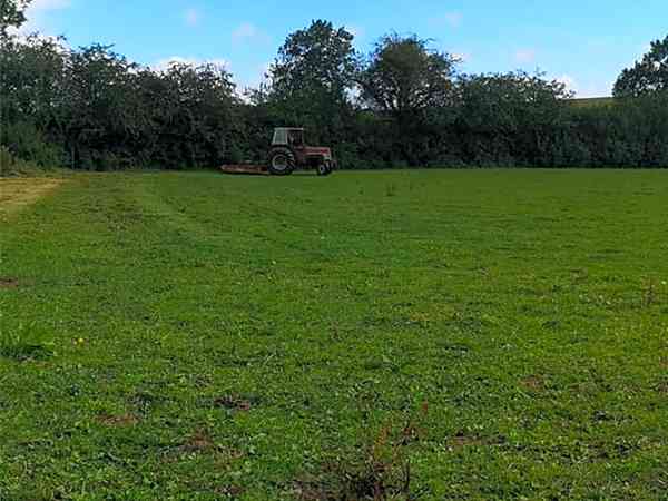 Non-electric grass pitch
