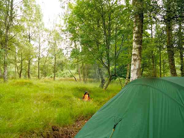 Non-electric grass and earth tent pitch (woodland)