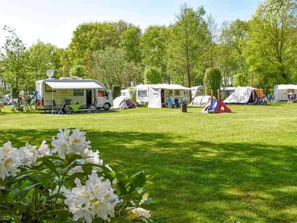 De Fliert fully-serviced grass pitch
