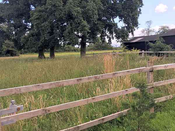 Field Field