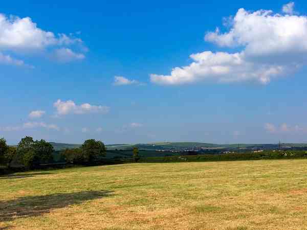 Electric grass tent pitch