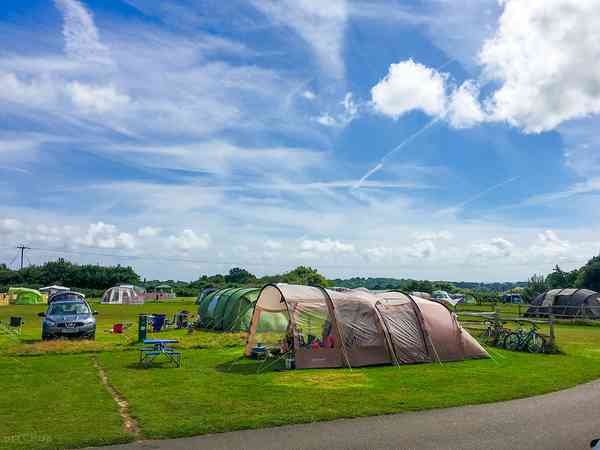 Electric optional grass and earth tent, trailer tent or touring caravan pitch
