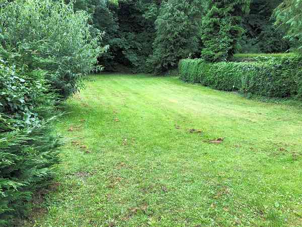 Grasbewachsener Stellplatz ohne Stromanschluss
