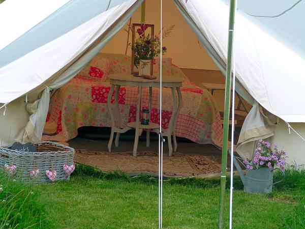 Tente cloche (premium)