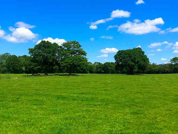 Unpowered grass tent or trailer tent site