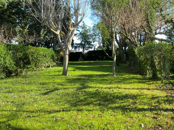 Emplacement sur herbe et sur sol en terre avec électricité optionnelle (8 personnes)