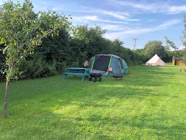 Non-electric grass tent pitch (2 adults and 2 children)