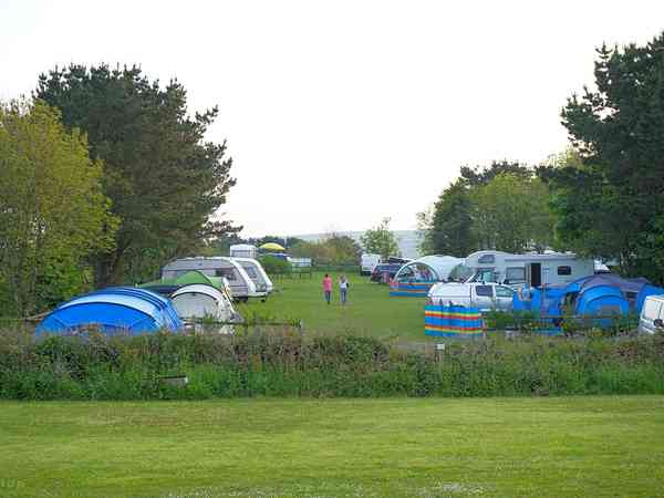 Non-electric grass tent pitch (maximum 4 adults)