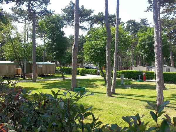 Spacious camping pitches suitable for tents Spacious camping pitches suitable for tents