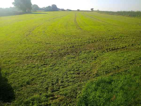 Non-electric grass tent or trailer tent pitch
