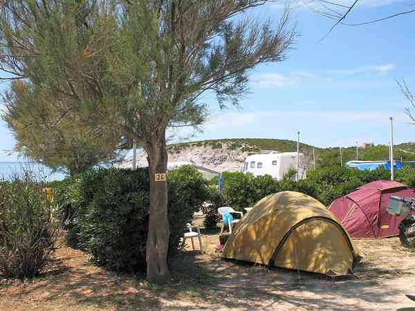 Emplacement sur sol en terre avec électricité