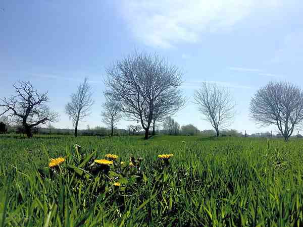Emplacement pour tente sur herbe sans électricité