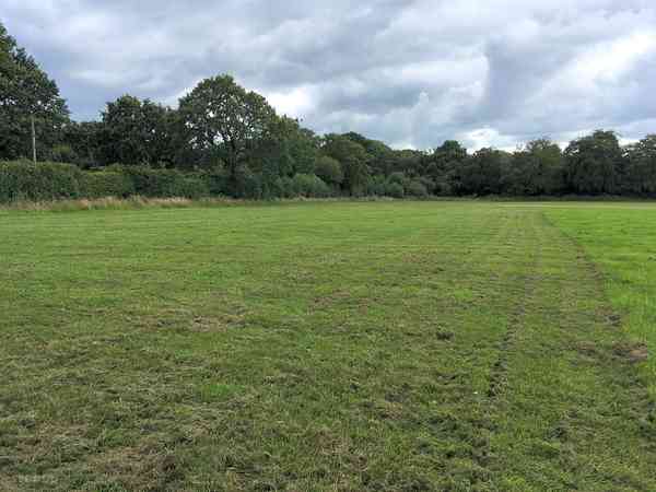 Lower Field non-electric grass tent or campervan pitch