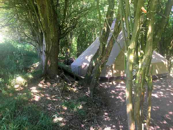 Tente cloche Coppice