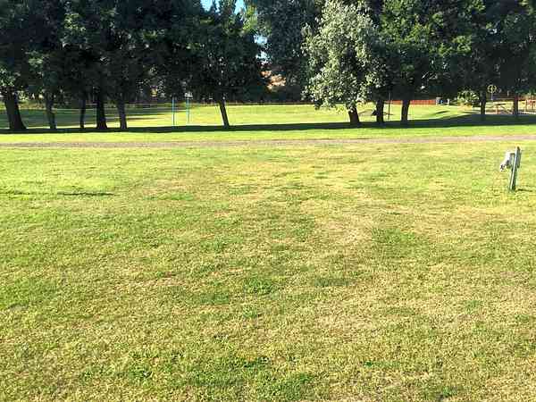 Grasbewachsener Stellplatz ohne Stromanschluss