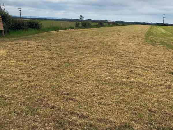 Non-electric grass tent pitch