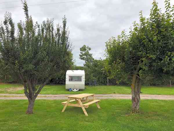 Electric grass pitch