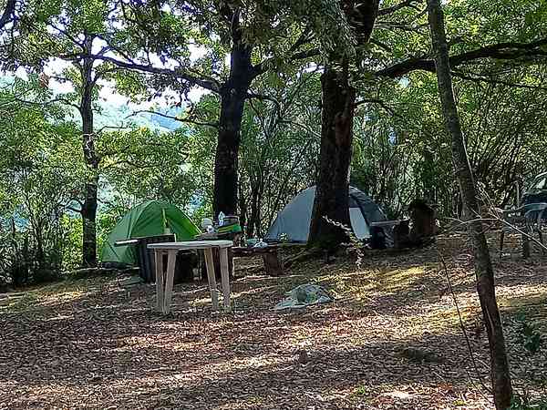 Bewaldeter Zelt- oder Camper-Van-Stellplatz ohne Stromanschluss