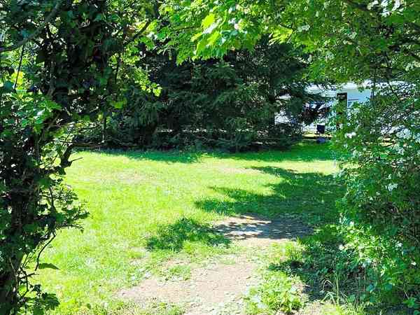 Powered grass site (adults only)