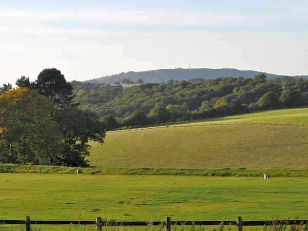 Emplacement pour tente (Bluebell field) sur herbe avec électricité optionnelle