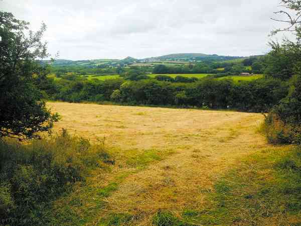 Non-electric grass tent or campervan pitch
