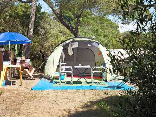 Emplacement pour tente ou pour caravane pliante sur herbe et sur sol en terre avec électricité