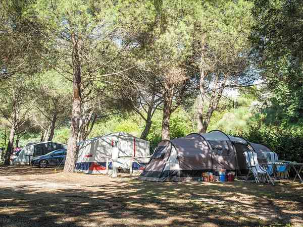 Powered grass tent site