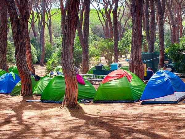 Electric earth tent pitch