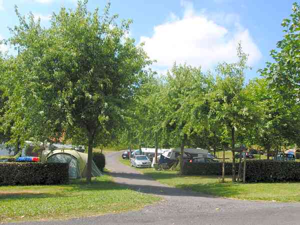 Pitches under the shade of trees Pitches under the shade of trees
