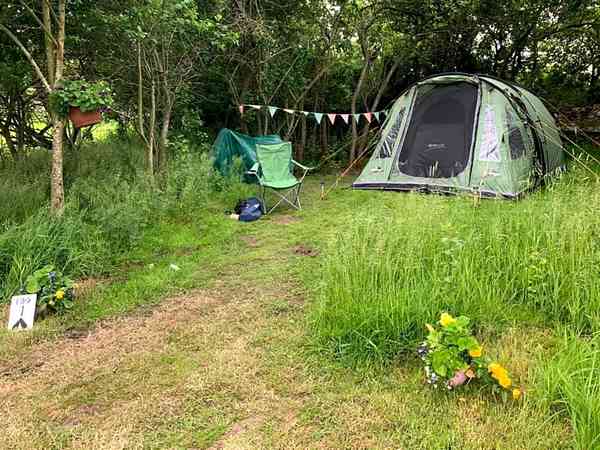 Phil's non-electric grass tent pitch (four person)