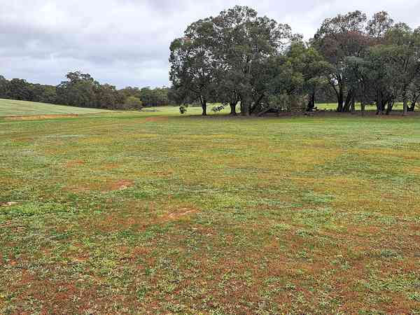 Non-electric grass and gravel pitch