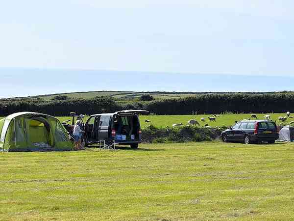 Emplacement sur herbe sans électricité