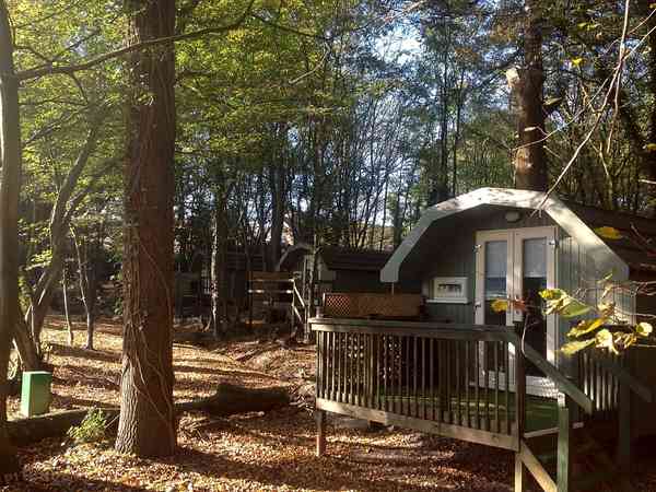 Pods in the woods Pods in the woods