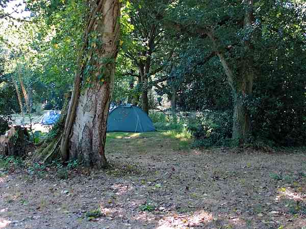 Emplacement pour tente sur sol forestier sans électricité