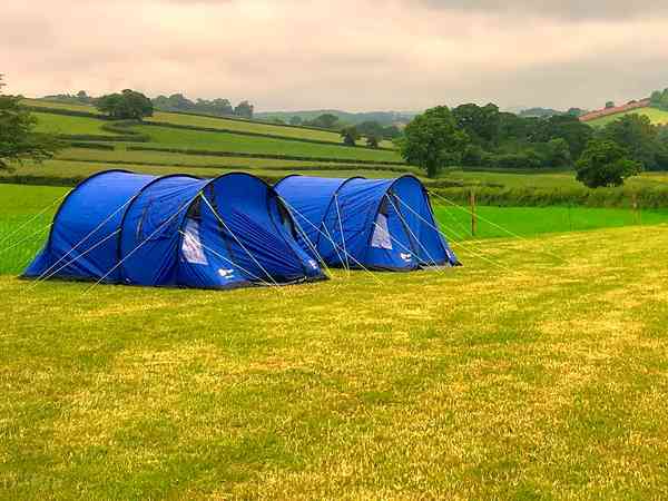 Medium tent pitches Medium tent pitches