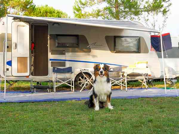 Max fully-serviced grass and sand touring pitch
