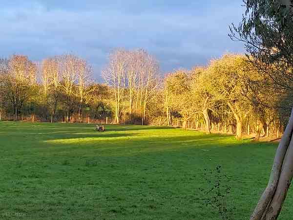 Non-electric grass and earth tent pitch