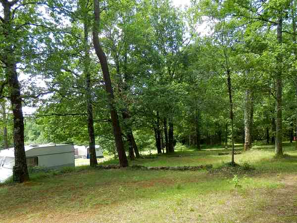 Emplacement pour tente sur sol forestier sans électricité