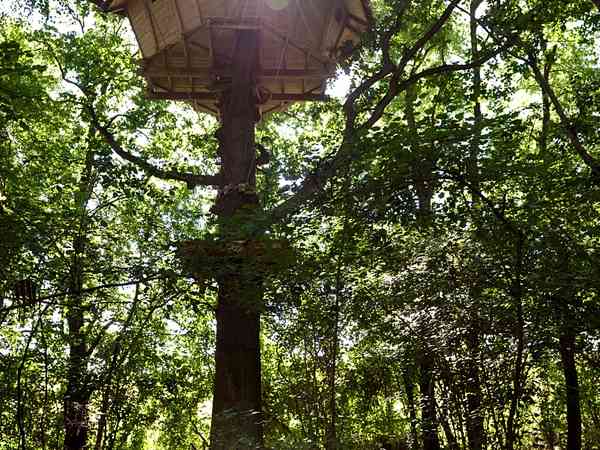 Beautiful treehouse home Beautiful treehouse home