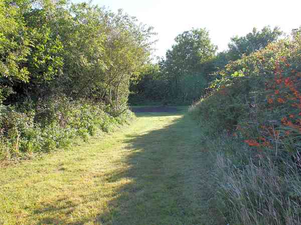 Non-electric grass tent pitch