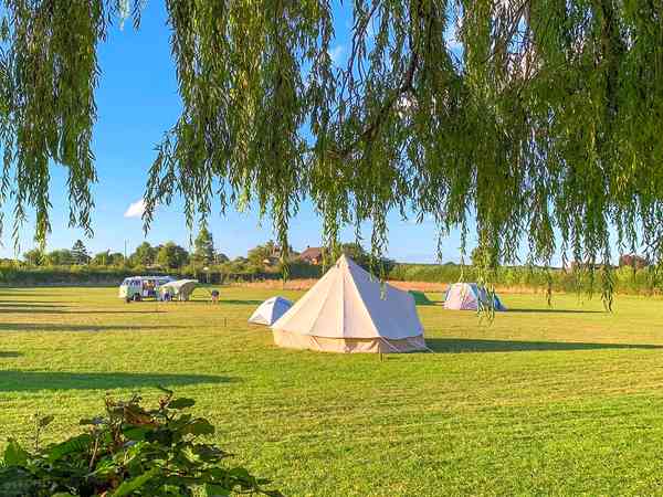 Emplacement pour tente ou pour caravane pliante sur herbe sans électricité