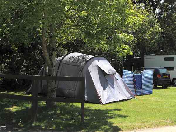 Semi-shaded pitches for your tent Semi-shaded pitches for your tent