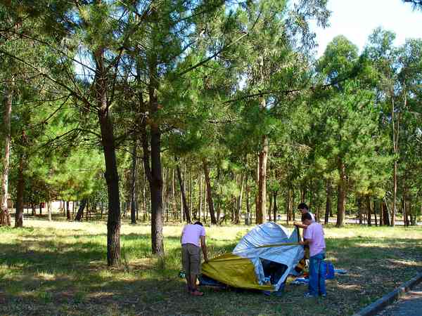 Spacious, shaded pitches Spacious, shaded pitches