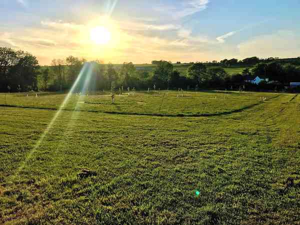 The meadow The meadow