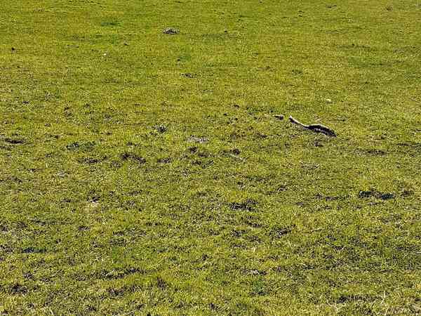 Emplacement pour véhicule de tourisme sur herbe sans électricité
