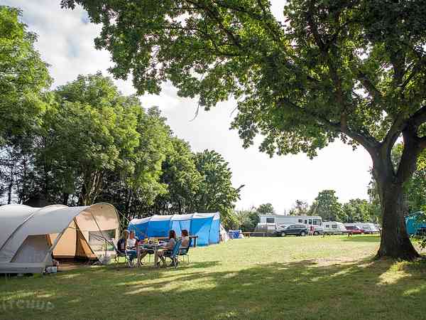 Primitive grass tent site