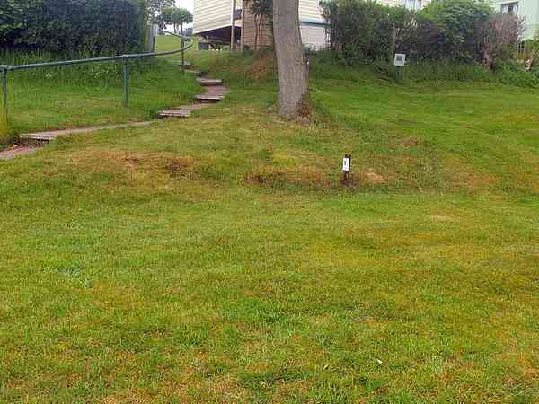 Emplacement pour tente sur herbe avec électricité