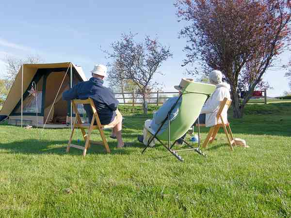 Orchard electric grass tent or trailer tent pitch (XL)